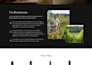 design a professional and modern web design